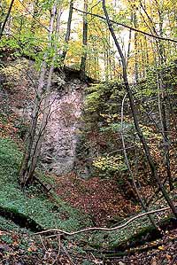 Einsturzdoline am Lichtenstein geplante Steinbrucherweiterung Firma Rigips, Heidelberger Zement