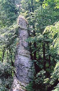 Obelisk im "Pfaffenolz" bei Bad Sachsa, Niedersachsen