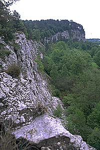 Gipssteilwand des Sachsensteins bei Bad Sachsa, Niedersachsen