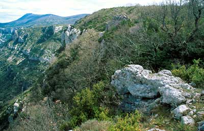 Ranquas Steilhang
